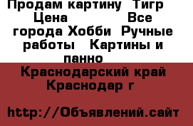 Продам картину “Тигр“ › Цена ­ 15 000 - Все города Хобби. Ручные работы » Картины и панно   . Краснодарский край,Краснодар г.